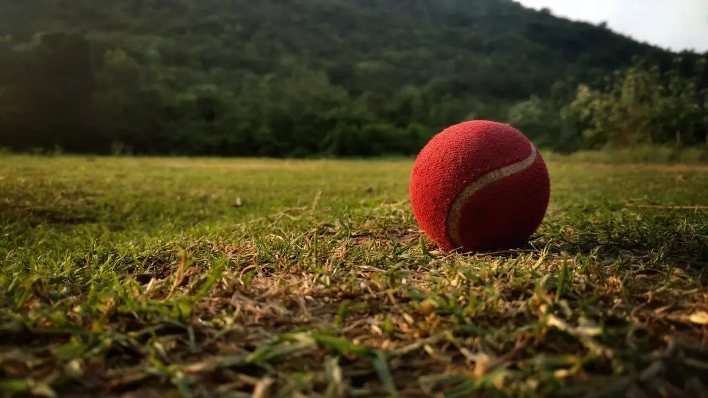 How to start your career in cricket – tips for success