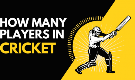 How Many Players are There in a Cricket Team?