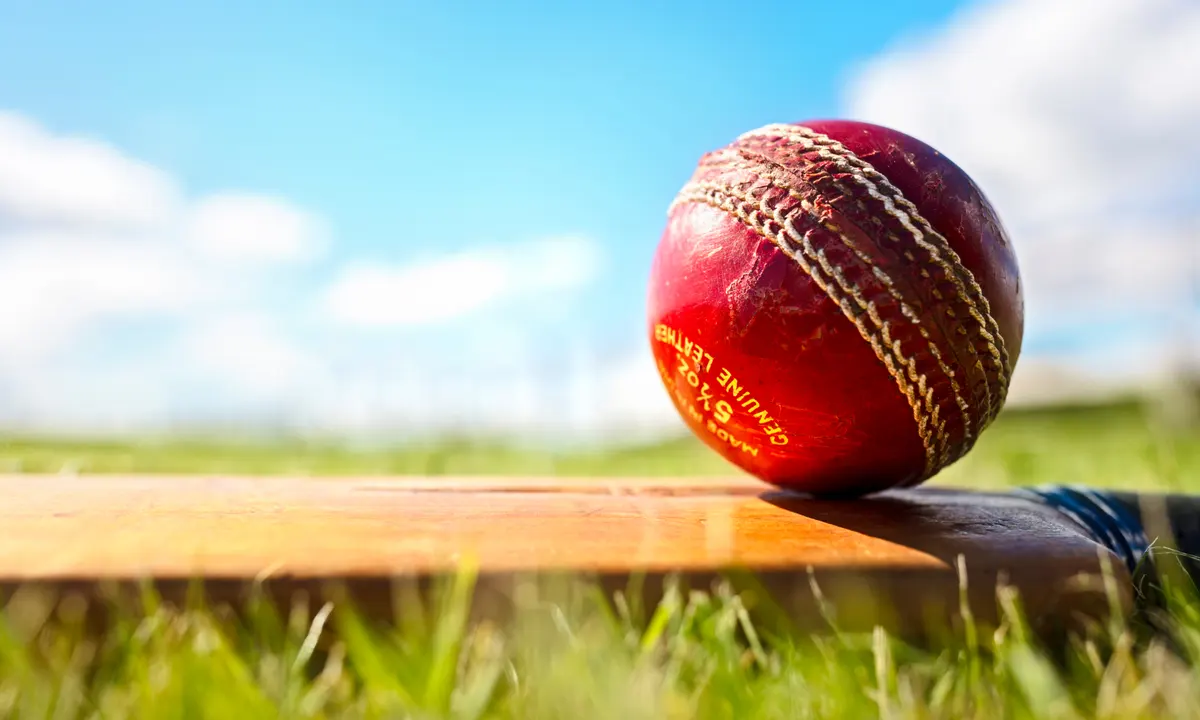 playing cricket meaning in hindi