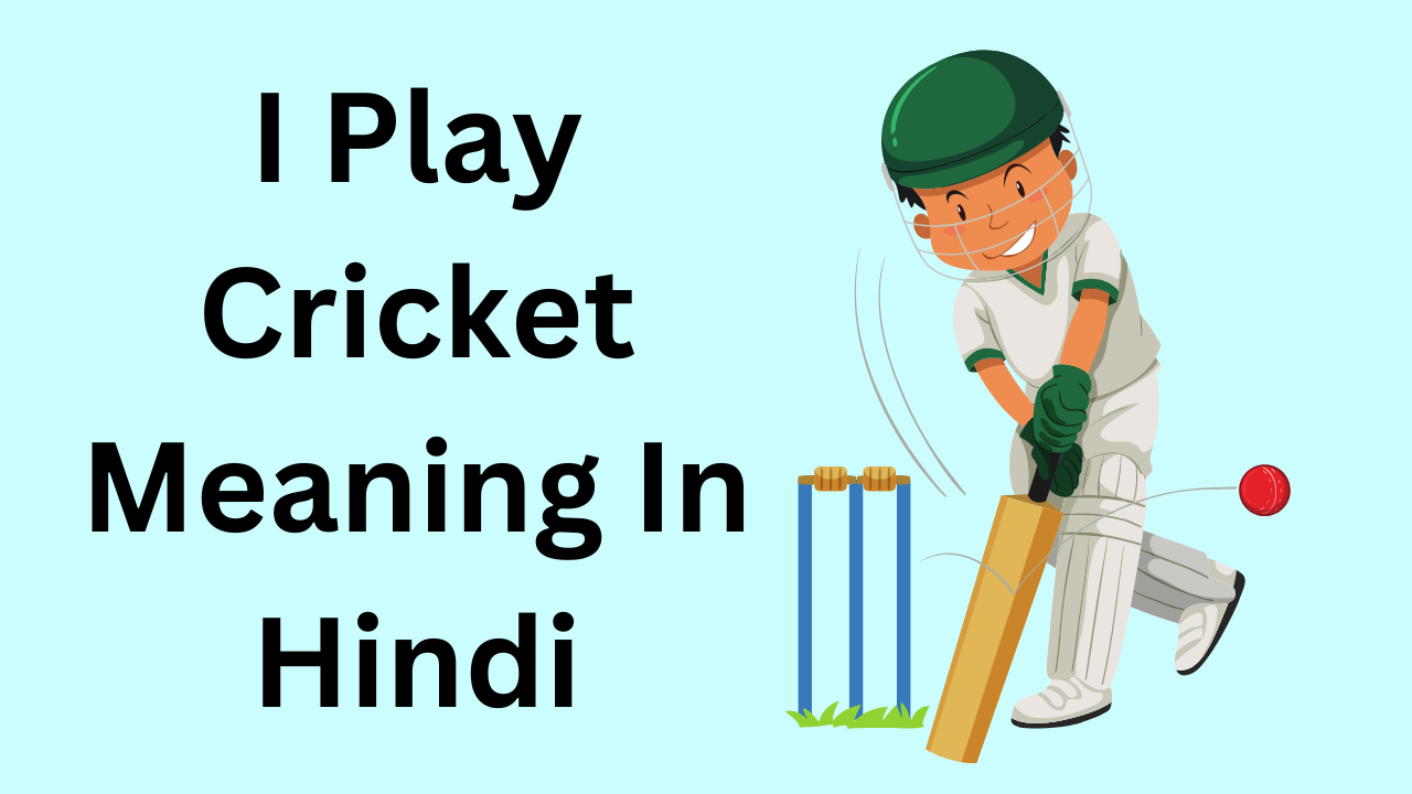 I Play Cricket Meaning In Hindi