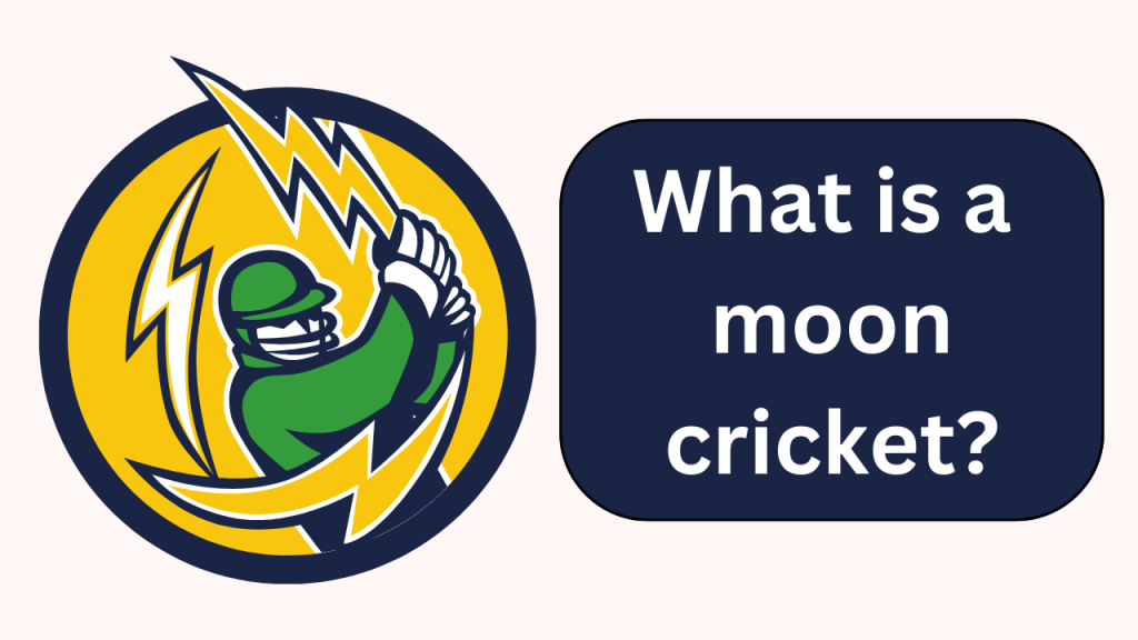 What Is A Moon Cricket? Define Moon Cricket