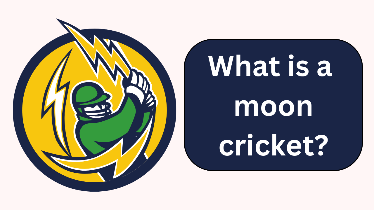 What is a moon cricket?