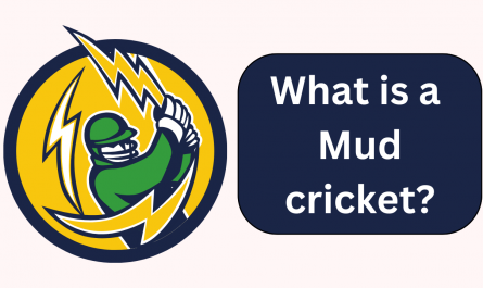 mud cricket definition urban dictionary