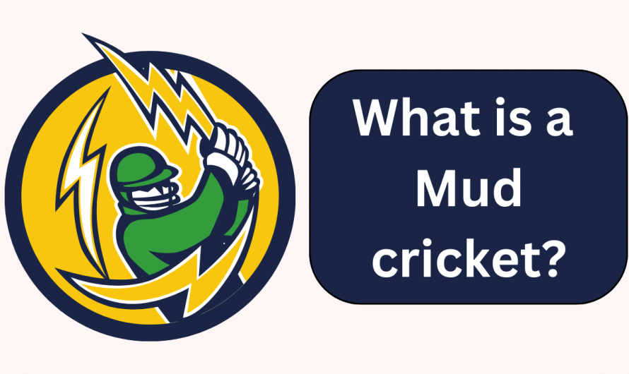 What is a mud cricket? Definition of a mud cricket